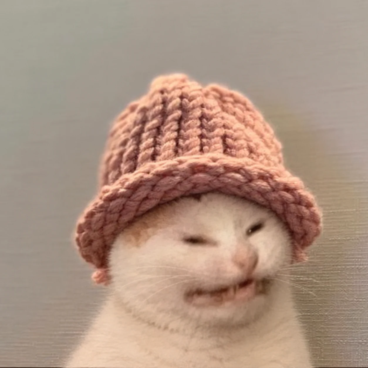 KOT pink beanie meme