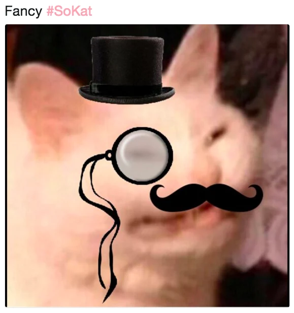 Fancy KOT meme