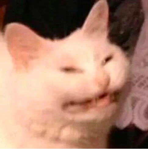 The original 2016 KOT squinting cat meme