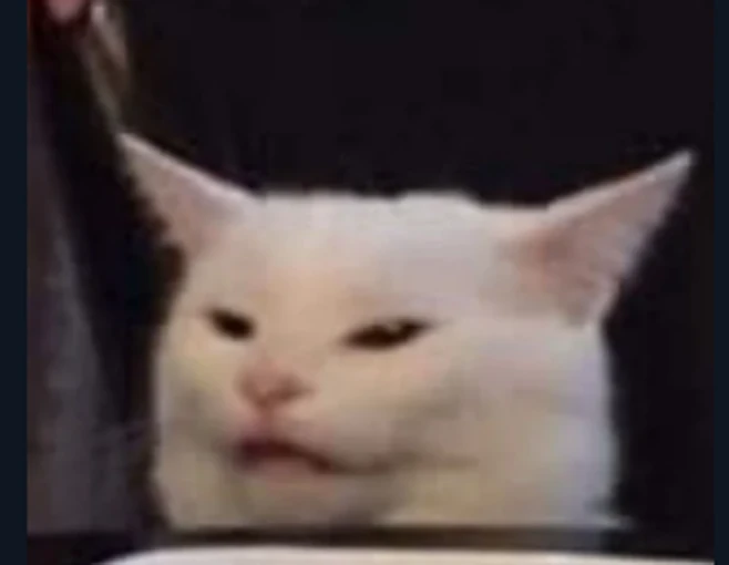 The original KOT squinting white cat meme
