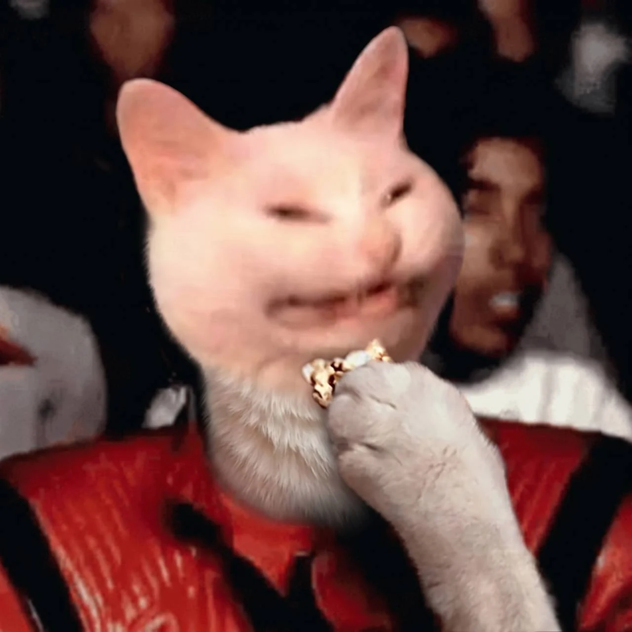 KOT eating popcorn