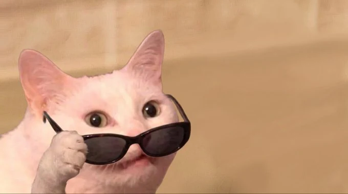 KOT sunglasses reaction